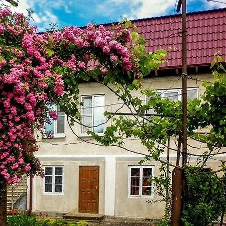 Guest House Anna 苏呼米 外观 照片