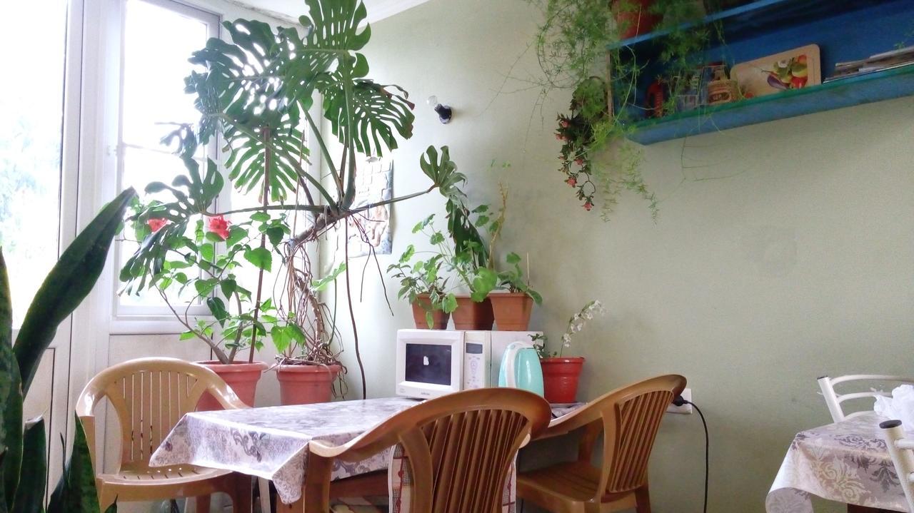 Guest House Anna 苏呼米 外观 照片