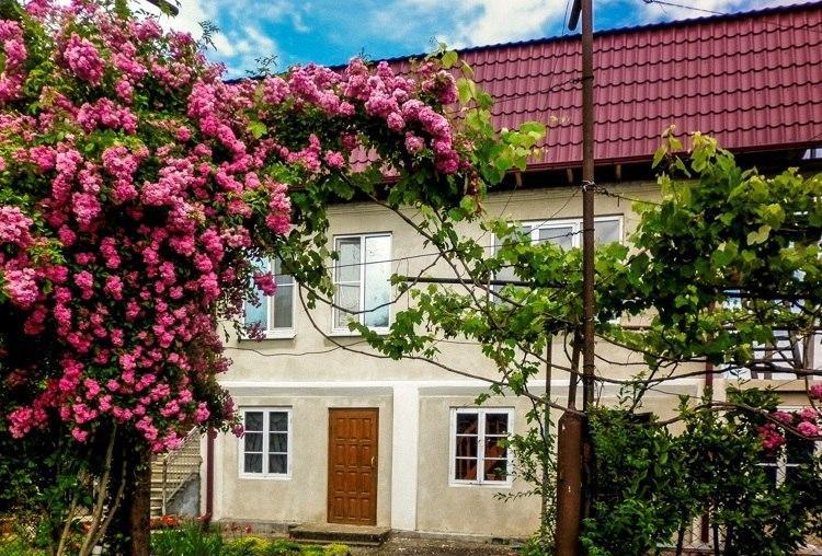 Guest House Anna 苏呼米 外观 照片